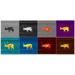 Насадка тепловізійна Pulsar Proton FXQ30