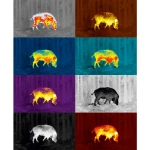 Насадка тепловізійна Pulsar Proton FXQ30