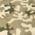 06-PL Desert