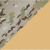 3411A-MultiCam/Coyote