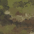 51-Legion Forest